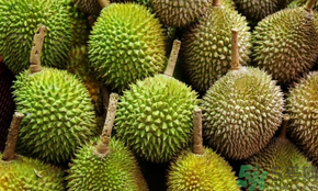 榴蓮可以冷凍保存嗎？榴蓮放冰箱是冷藏還是冷凍？
