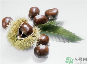 老人能喝板栗酒嗎？板栗怎么泡酒呢？