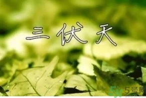三伏天可以理發(fā)嗎？三伏天為什么不能理發(fā)？
