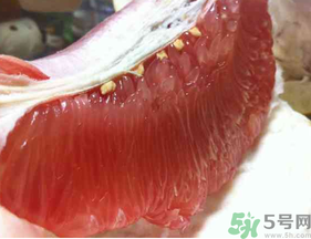 剝開的柚子能放冰箱嗎？柚子肉可以放冰箱嗎？