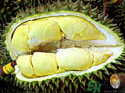 月經(jīng)期間可以吃榴蓮嗎？來月經(jīng)可以吃榴蓮嗎？