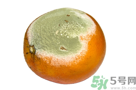 水果發(fā)霉了可以吃嗎？發(fā)霉的水果對人體有什么危害？