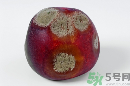 水果發(fā)霉了可以吃嗎？發(fā)霉的水果對人體有什么危害？