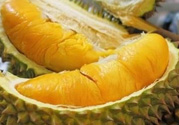 小孩能吃榴蓮嗎？榴蓮小孩能吃嗎？