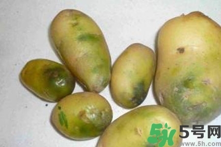 土豆發(fā)綠還能吃嗎？土豆發(fā)綠皮削皮后能吃嗎？
