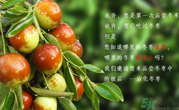 晚上吃棗子會(huì)胖嗎？晚上吃新鮮棗子會(huì)胖嗎？