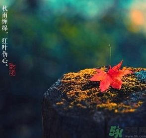秋分做什么運(yùn)動(dòng)好？秋分運(yùn)動(dòng)注意事項(xiàng)