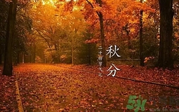 秋分做什么運(yùn)動(dòng)好？秋分運(yùn)動(dòng)注意事項(xiàng)