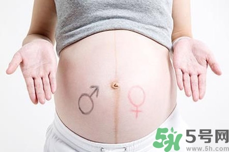 懷孕4個月肚子有多大？懷孕4個月需要注意什么？