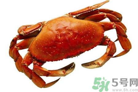 10月份吃螃蟹好嗎？10月份吃什么螃蟹？