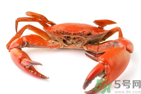 10月吃陽澄湖大閘蟹好嗎？大閘蟹怎么做好吃？