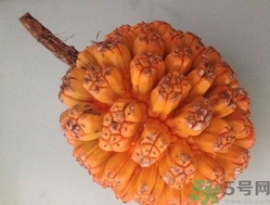山菠蘿怎么吃？山菠蘿的功效與作用