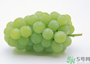 新鮮葡萄能放冰箱嗎？新鮮葡萄的保存方法