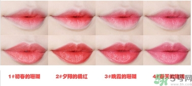 悅詩(shī)風(fēng)吟水韻凝采唇膏價(jià)格 悅詩(shī)風(fēng)吟水韻凝采唇膏怎么用？