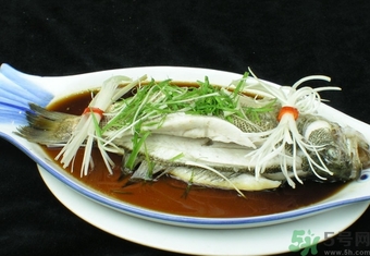 鱸魚是淡水魚還是海水魚？鱸魚是海魚嗎？