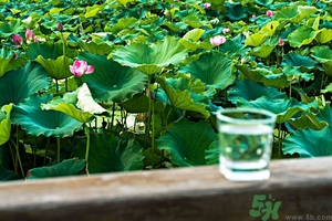 小蘇打能治癌癥嗎？蘇打水可以治癌癥嗎？