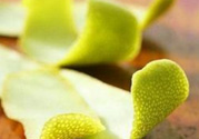柚子皮能去冰箱異味嗎？為什么柚子皮能去除冰箱的異味？