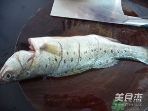 鱸魚(yú)蒸多長(zhǎng)時(shí)間？鱸魚(yú)怎么蒸？