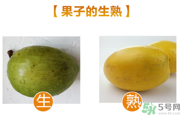 蛋黃果多少錢一斤？蛋黃果什么時候成熟？