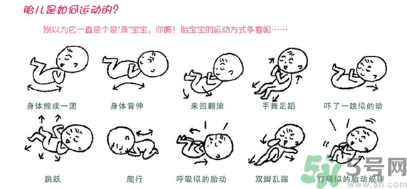 胎動怎么數(shù)最正確？胎動有什么規(guī)律？