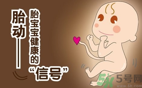 胎動怎么數(shù)最正確？胎動有什么規(guī)律？