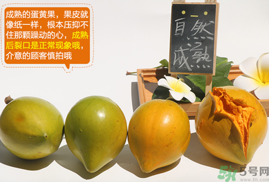 蛋黃果怎么催熟？生的蛋黃果如何催熟？