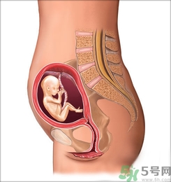 胎動(dòng)頻繁正常嗎?胎動(dòng)頻繁是什么原因？