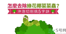 西蘭花里有蟲子怎么辦？花椰菜里面好多蟲怎么辦？