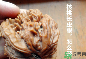 核桃長蟲了還能吃嗎？核桃長蟲子怎么處理？
