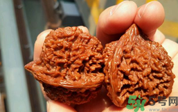核桃長蟲了還能吃嗎？核桃長蟲子怎么處理？