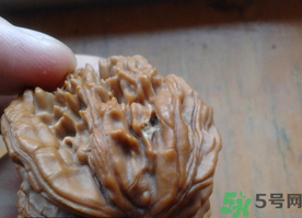 核桃長蟲了還能吃嗎？核桃長蟲子怎么處理？