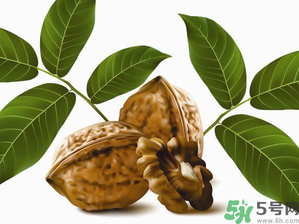 核桃一天吃幾個合適？核桃一天吃幾個最好？