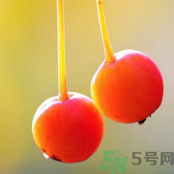 海棠果孕婦能吃嗎？海棠果的功效與作用