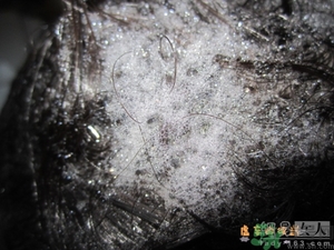 淳萃水舞櫻花洗發(fā)水好用嗎？淳萃水舞櫻花洗發(fā)水多少錢？