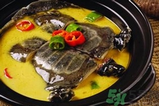 甲魚怎么吃最有營養(yǎng)？甲魚怎么吃最補身體？