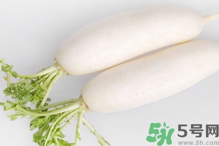 怎么挑白蘿卜好不好？挑選白蘿卜的小竅門