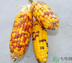彩色玉米是轉基因嗎？彩色玉米能吃嗎？