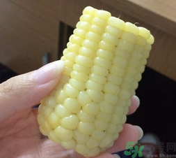玉米沒(méi)煮熟能吃嗎？沒(méi)煮熟的玉米能吃嗎？