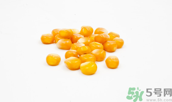 玉米?？梢葬炇裁呆~？玉米粒釣魚方法