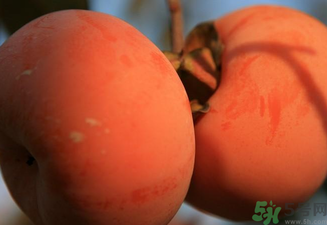 大柿子不能和什么同吃？大柿子和什么食物相克？