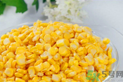 秋天釣魚用什么餌料？秋季釣魚用什么餌料好？