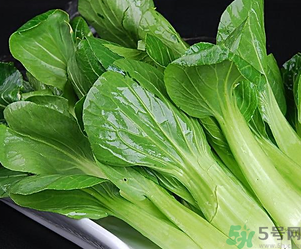 青菜可以放冰箱嗎？青菜能放冰箱保鮮嗎？
