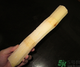 甘蔗可以放冰箱嗎？甘蔗放冰箱能保存多久？