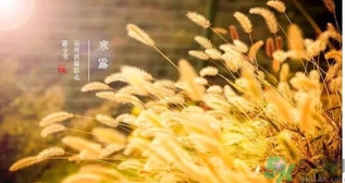 寒露吃什么好？寒露食療