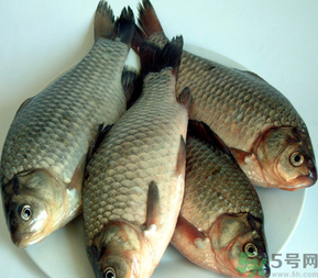 秋天釣鯽魚用什么餌料？秋天釣鯽魚用什么味餌？