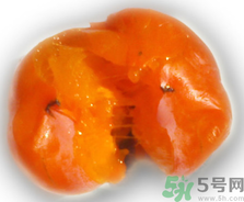 新鮮柿子皮可以吃嗎？吃了柿子皮怎么辦？