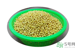 新鮮黃豆怎么保存？新鮮黃豆米如何保存？