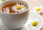 寒露喝什么茶好？寒露喝什么茶最養(yǎng)生？