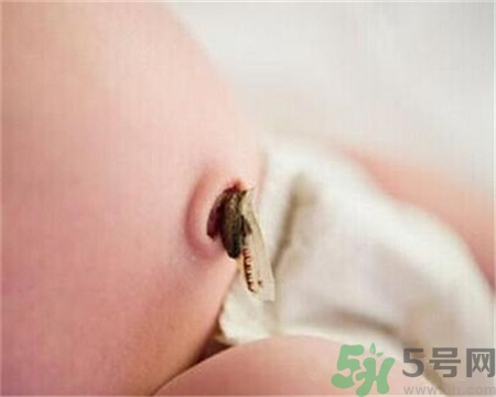 新生兒肚臍怎么護(hù)理？新生兒肚臍什么時(shí)候掉？