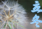 立冬可以釣魚嗎？立冬釣魚注意事項(xiàng)